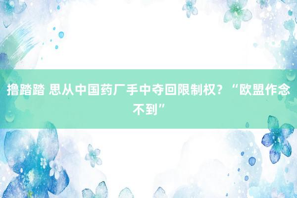 撸踏踏 思从中国药厂手中夺回限制权？“欧盟作念不到”