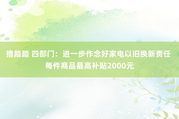 撸踏踏 四部门：进一步作念好家电以旧换新责任 每件商品最高补贴2000元