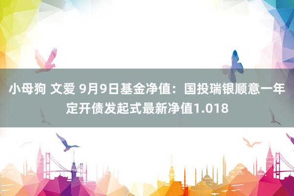 小母狗 文爱 9月9日基金净值：国投瑞银顺意一年定开债发起式最新净值1.018