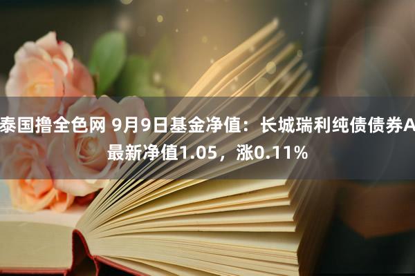 泰国撸全色网 9月9日基金净值：长城瑞利纯债债券A最新净值1.05，涨0.11%