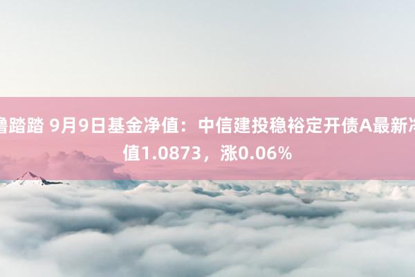 撸踏踏 9月9日基金净值：中信建投稳裕定开债A最新净值1.0873，涨0.06%