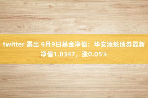 twitter 露出 9月9日基金净值：华安添魁债券最新净值1.0347，涨0.05%