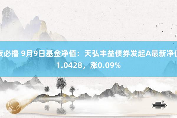 夜必撸 9月9日基金净值：天弘丰益债券发起A最新净值1.0428，涨0.09%