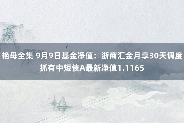 艳母全集 9月9日基金净值：浙商汇金月享30天调度抓有中短债A最新净值1.1165