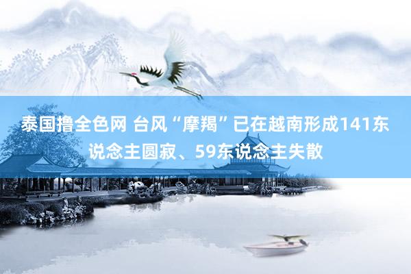 泰国撸全色网 台风“摩羯”已在越南形成141东说念主圆寂、59东说念主失散