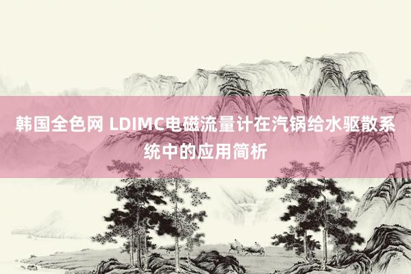 韩国全色网 LDIMC电磁流量计在汽锅给水驱散系统中的应用简析