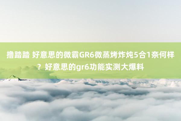 撸踏踏 好意思的微霸GR6微蒸烤炸炖5合1奈何样？好意思的gr6功能实测大爆料