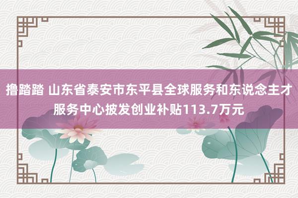 撸踏踏 山东省泰安市东平县全球服务和东说念主才服务中心披发创业补贴113.7万元