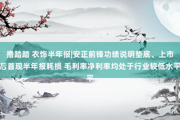 撸踏踏 衣饰半年报|安正前锋功绩说明垫底、上市后首现半年报耗损 毛利率净利率均处于行业较低水平