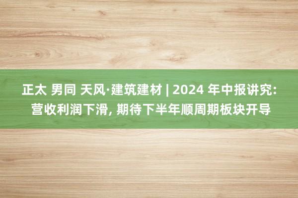 正太 男同 天风·建筑建材 | 2024 年中报讲究: 营收利润下滑， 期待下半年顺周期板块开导