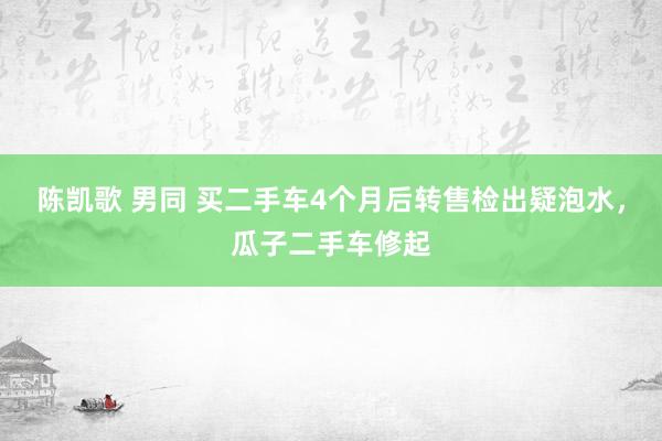 陈凯歌 男同 买二手车4个月后转售检出疑泡水，瓜子二手车修起