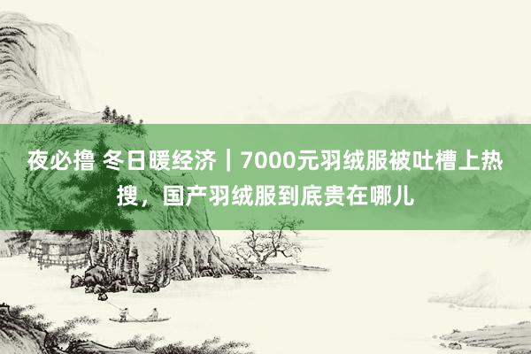 夜必撸 冬日暖经济｜7000元羽绒服被吐槽上热搜，国产羽绒服到底贵在哪儿