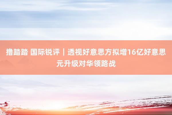 撸踏踏 国际锐评｜透视好意思方拟增16亿好意思元升级对华领路战