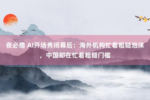 夜必撸 AI开场秀闭幕后：海外机构忙着粗糙泡沫，中国却在忙着粗糙门槛