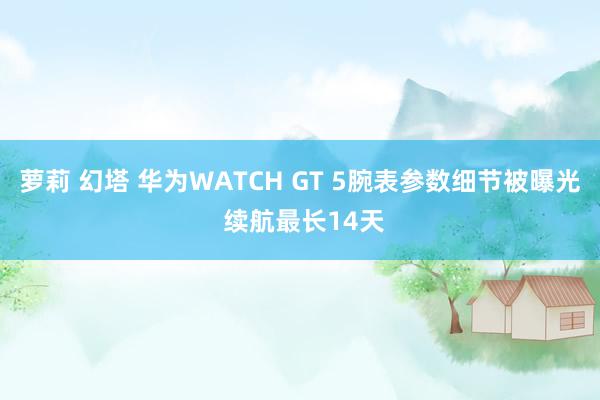 萝莉 幻塔 华为WATCH GT 5腕表参数细节被曝光 续航最长14天