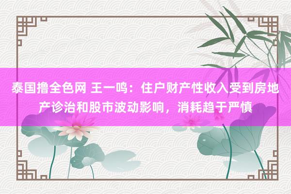 泰国撸全色网 王一鸣：住户财产性收入受到房地产诊治和股市波动影响，消耗趋于严慎