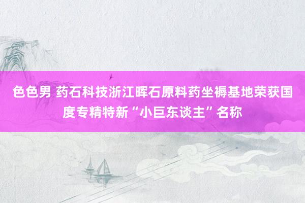 色色男 药石科技浙江晖石原料药坐褥基地荣获国度专精特新“小巨东谈主”名称