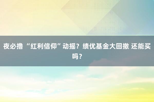 夜必撸 “红利信仰”动摇？绩优基金大回撤 还能买吗？