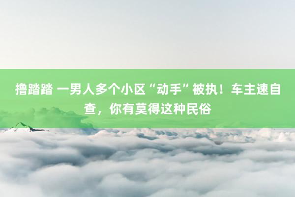 撸踏踏 一男人多个小区“动手”被执！车主速自查，你有莫得这种民俗