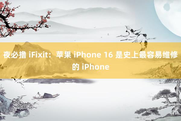 夜必撸 iFixit：苹果 iPhone 16 是史上最容易维修的 iPhone