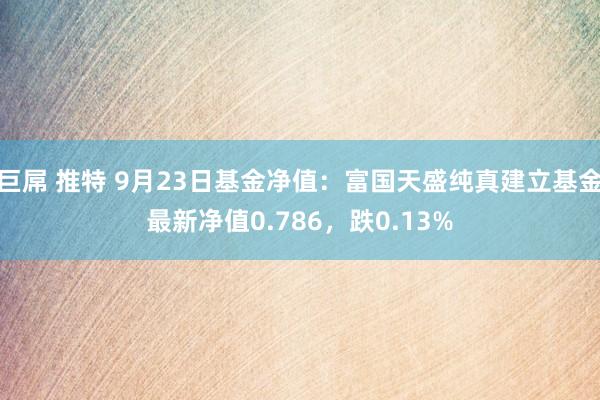 巨屌 推特 9月23日基金净值：富国天盛纯真建立基金最新净值0.786，跌0.13%