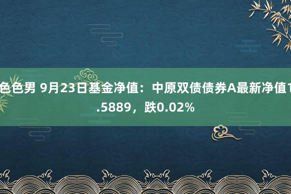 色色男 9月23日基金净值：中原双债债券A最新净值1.5889，跌0.02%