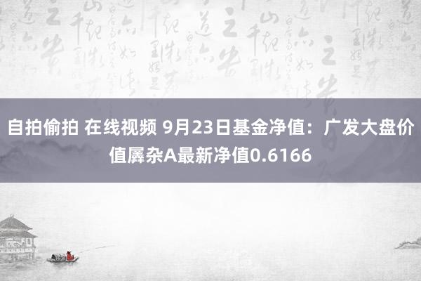 自拍偷拍 在线视频 9月23日基金净值：广发大盘价值羼杂A最新净值0.6166