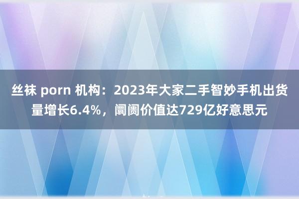 丝袜 porn 机构：2023年大家二手智妙手机出货量增长6.4%，阛阓价值达729亿好意思元