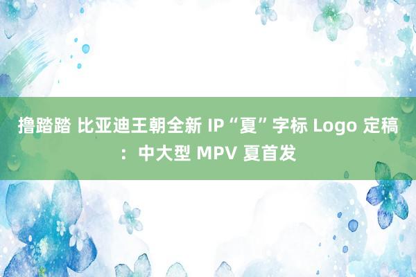 撸踏踏 比亚迪王朝全新 IP“夏”字标 Logo 定稿：中大型 MPV 夏首发