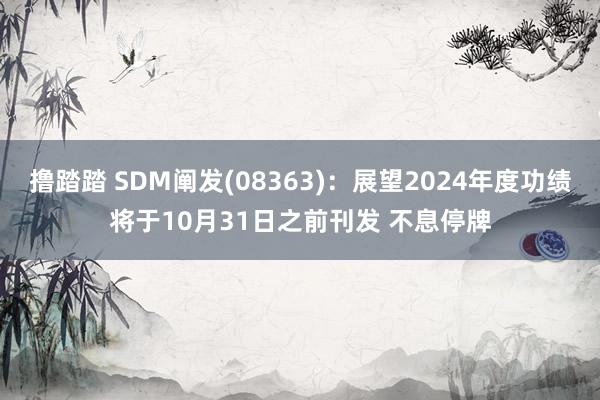 撸踏踏 SDM阐发(08363)：展望2024年度功绩将于10月31日之前刊发 不息停牌