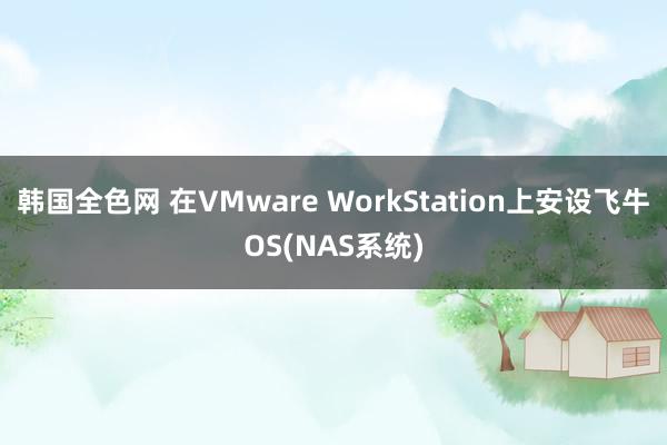 韩国全色网 在VMware WorkStation上安设飞牛OS(NAS系统)