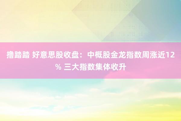 撸踏踏 好意思股收盘：中概股金龙指数周涨近12% 三大指数集体收升