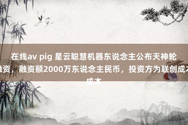 在线av pig 星云聪慧机器东说念主公布天神轮融资，融资额2000万东说念主民币，投资方为联创成本