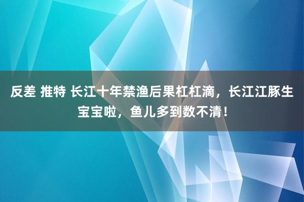 反差 推特 长江十年禁渔后果杠杠滴，长江江豚生宝宝啦，鱼儿多到数不清！