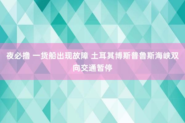 夜必撸 一货船出现故障 土耳其博斯普鲁斯海峡双向交通暂停