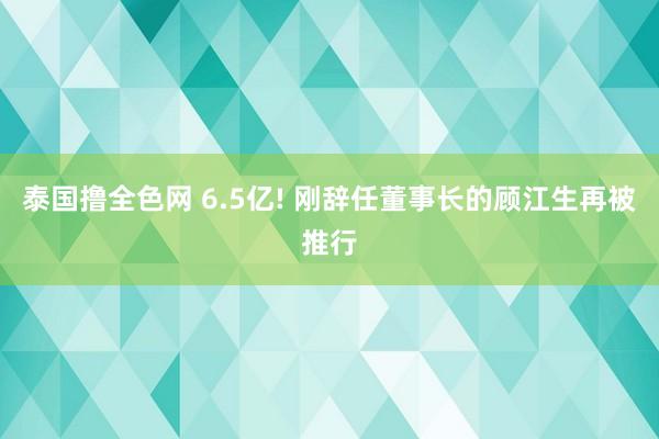 泰国撸全色网 6.5亿! 刚辞任董事长的顾江生再被推行