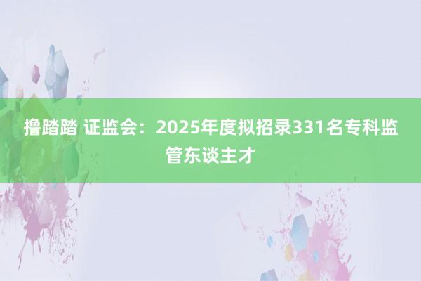 撸踏踏 证监会：2025年度拟招录331名专科监管东谈主才