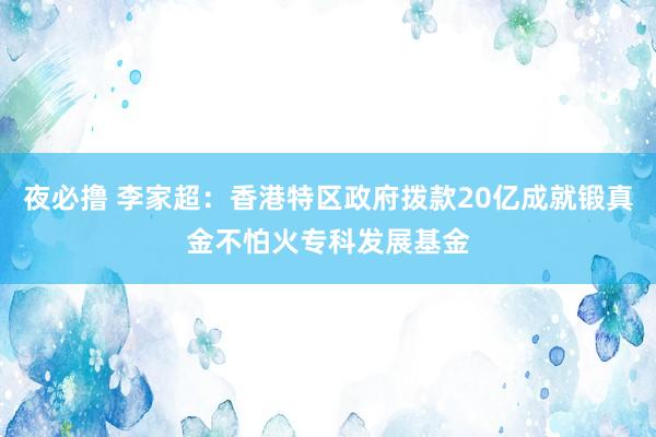 夜必撸 李家超：香港特区政府拨款20亿成就锻真金不怕火专科发展基金