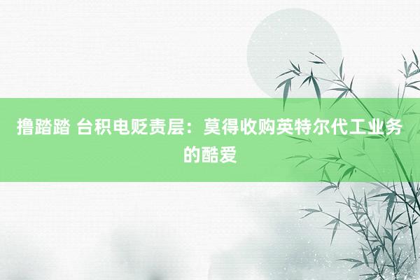 撸踏踏 台积电贬责层：莫得收购英特尔代工业务的酷爱