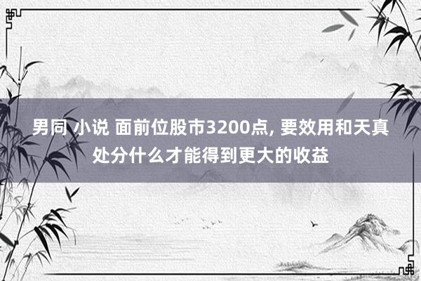 男同 小说 面前位股市3200点， 要效用和天真处分什么才能得到更大的收益