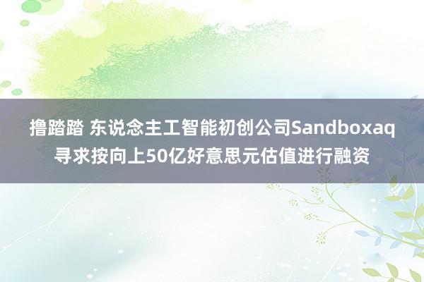 撸踏踏 东说念主工智能初创公司Sandboxaq寻求按向上50亿好意思元估值进行融资