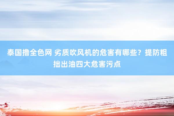 泰国撸全色网 劣质吹风机的危害有哪些？提防粗拙出油四大危害污点