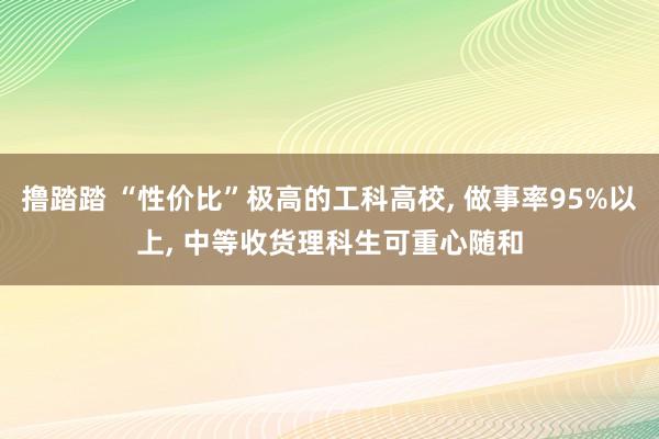 撸踏踏 “性价比”极高的工科高校， 做事率95%以上， 中等收货理科生可重心随和