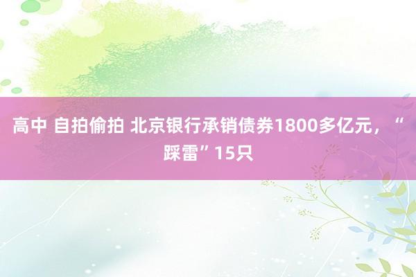 高中 自拍偷拍 北京银行承销债券1800多亿元，“踩雷”15只