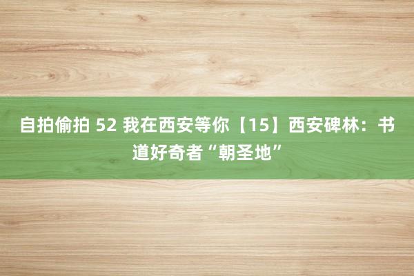 自拍偷拍 52 我在西安等你【15】西安碑林：书道好奇者“朝圣地”