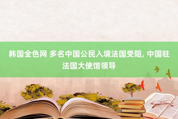 韩国全色网 多名中国公民入境法国受阻， 中国驻法国大使馆领导