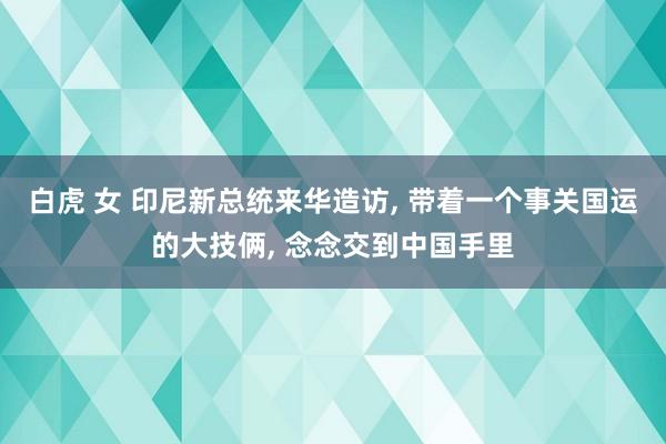 白虎 女 印尼新总统来华造访， 带着一个事关国运的大技俩， 念念交到中国手里