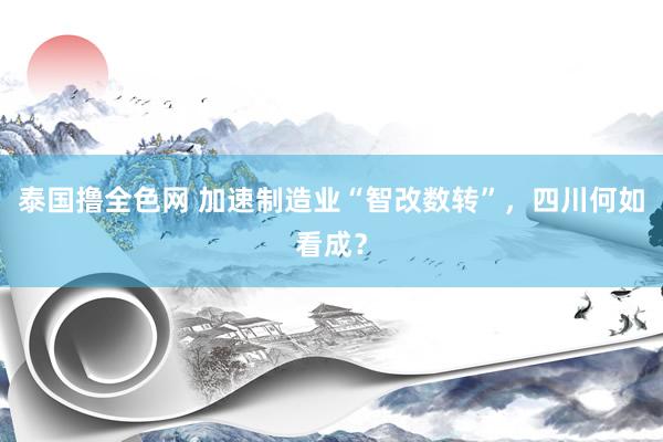 泰国撸全色网 加速制造业“智改数转”，四川何如看成？