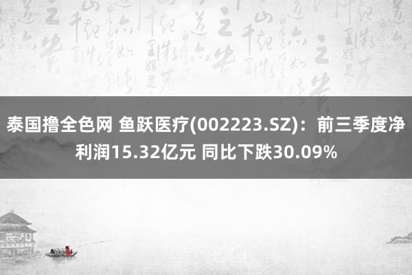 泰国撸全色网 鱼跃医疗(002223.SZ)：前三季度净利润15.32亿元 同比下跌30.09%