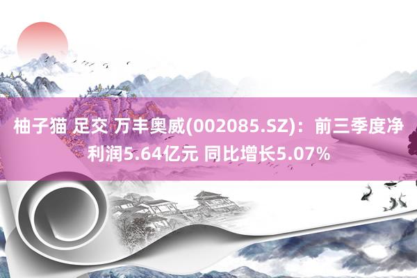 柚子猫 足交 万丰奥威(002085.SZ)：前三季度净利润5.64亿元 同比增长5.07%